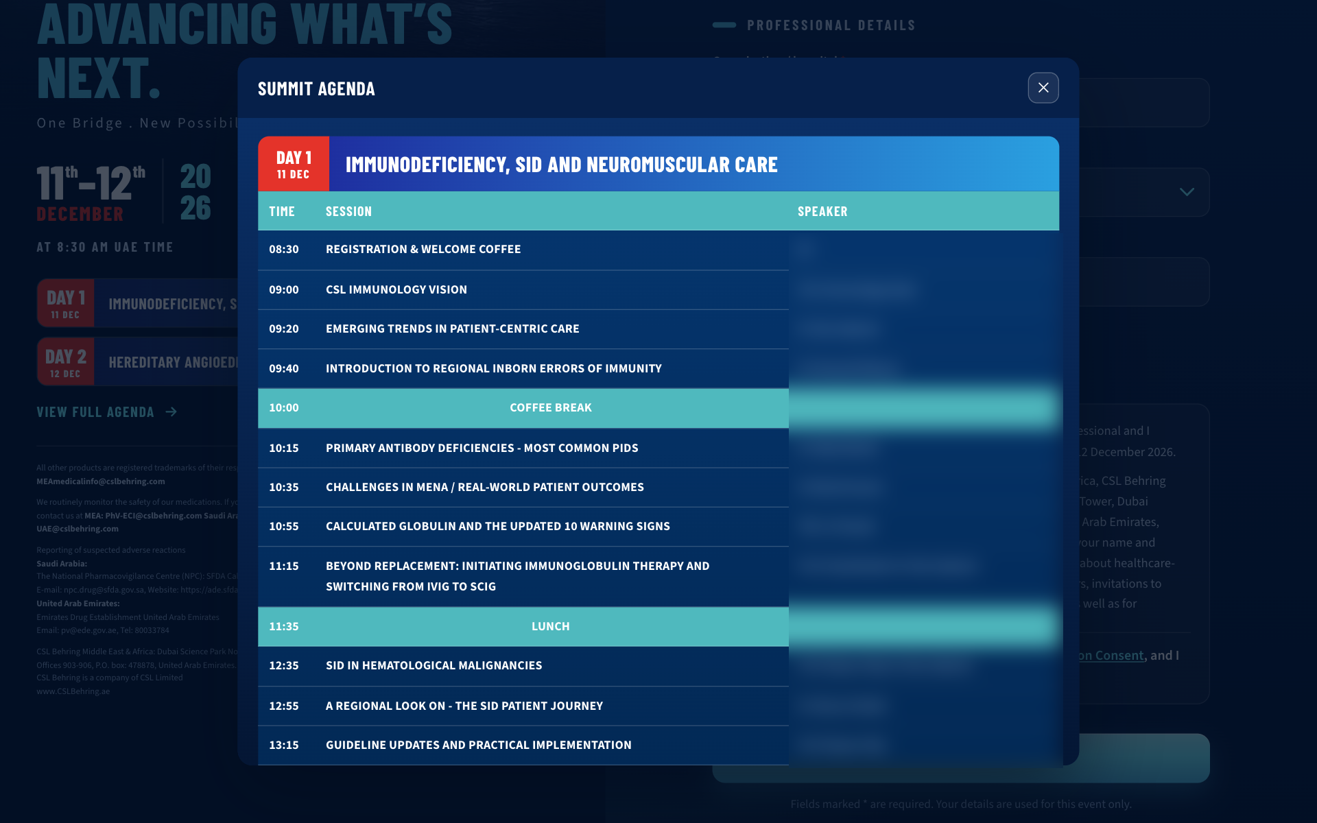 The summit agenda window