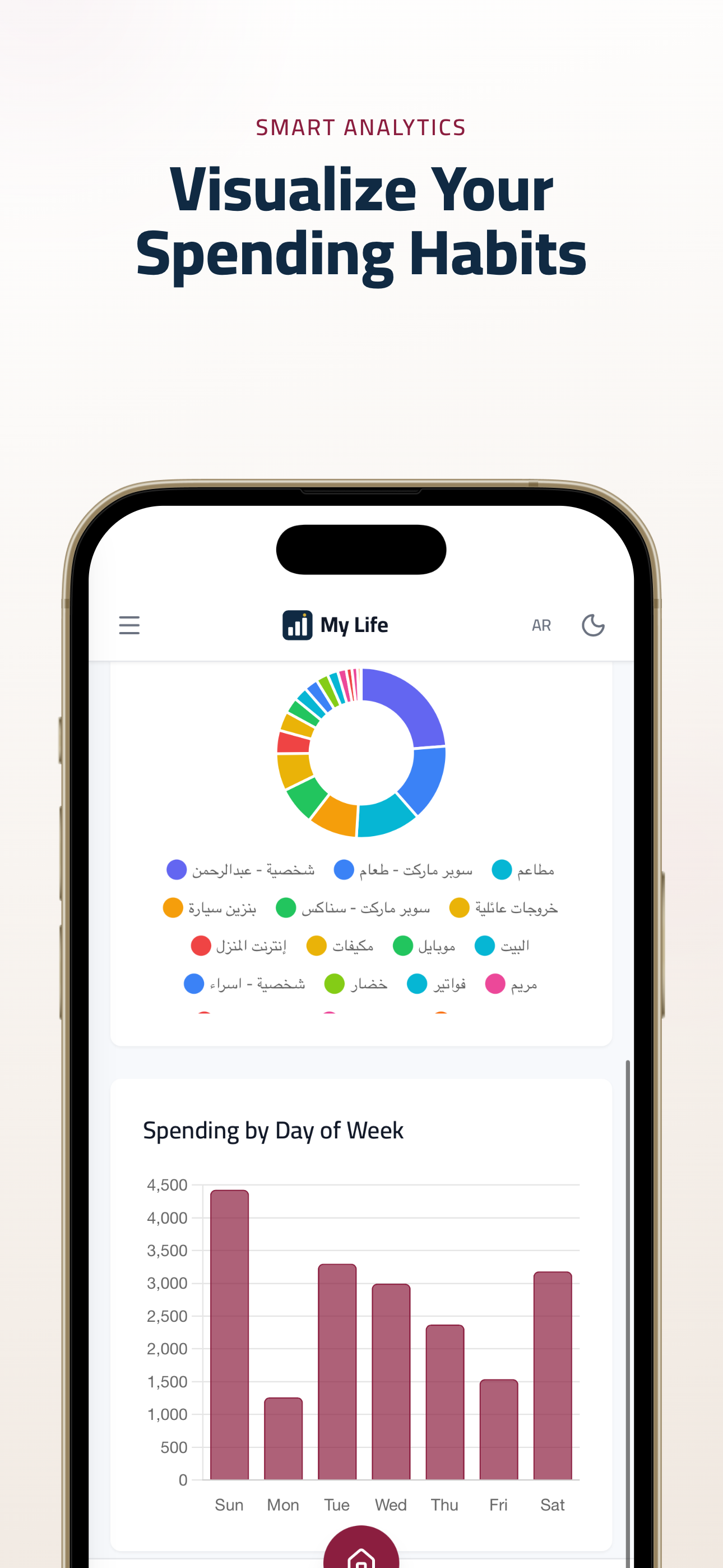 Visual breakdowns of spending habits by category and day